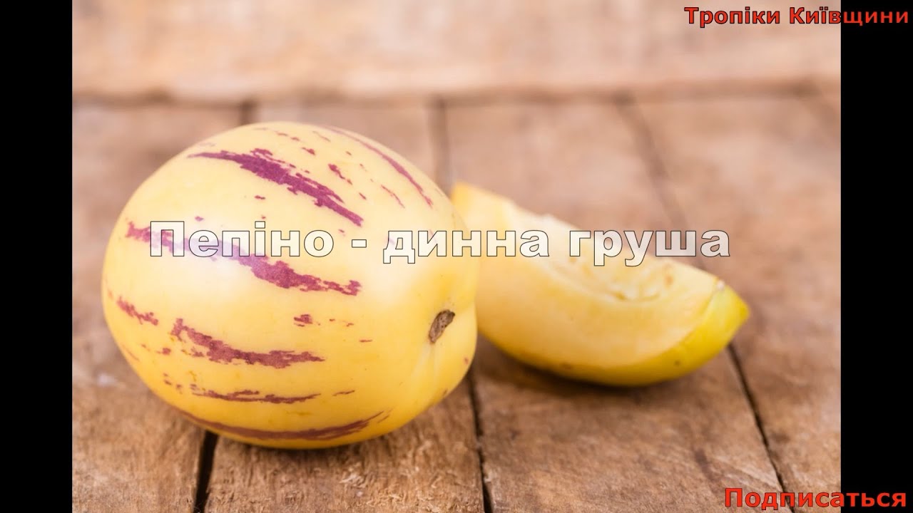 Пепіно - динна груша