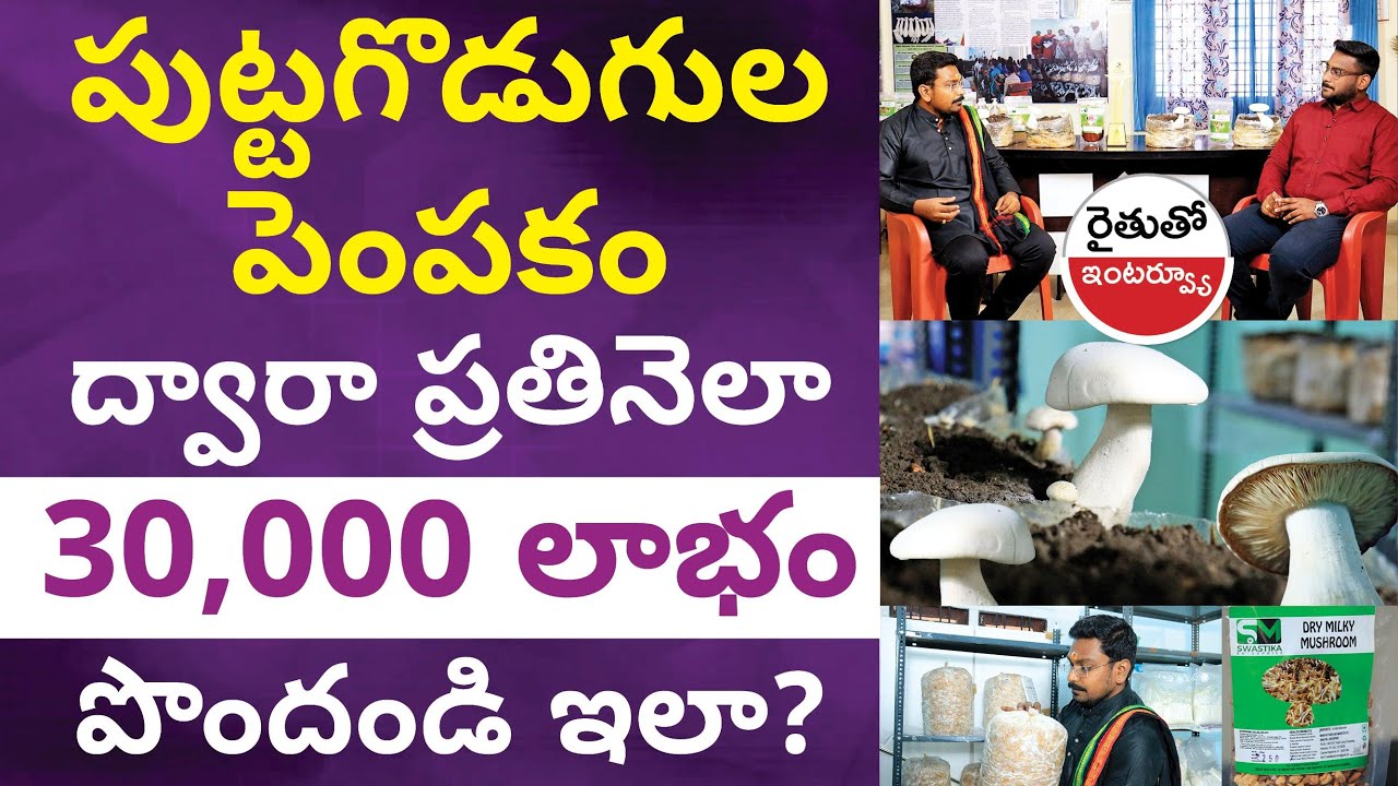 Mushroom Farming in Telugu - How to Start a Mushroom Farming? | 