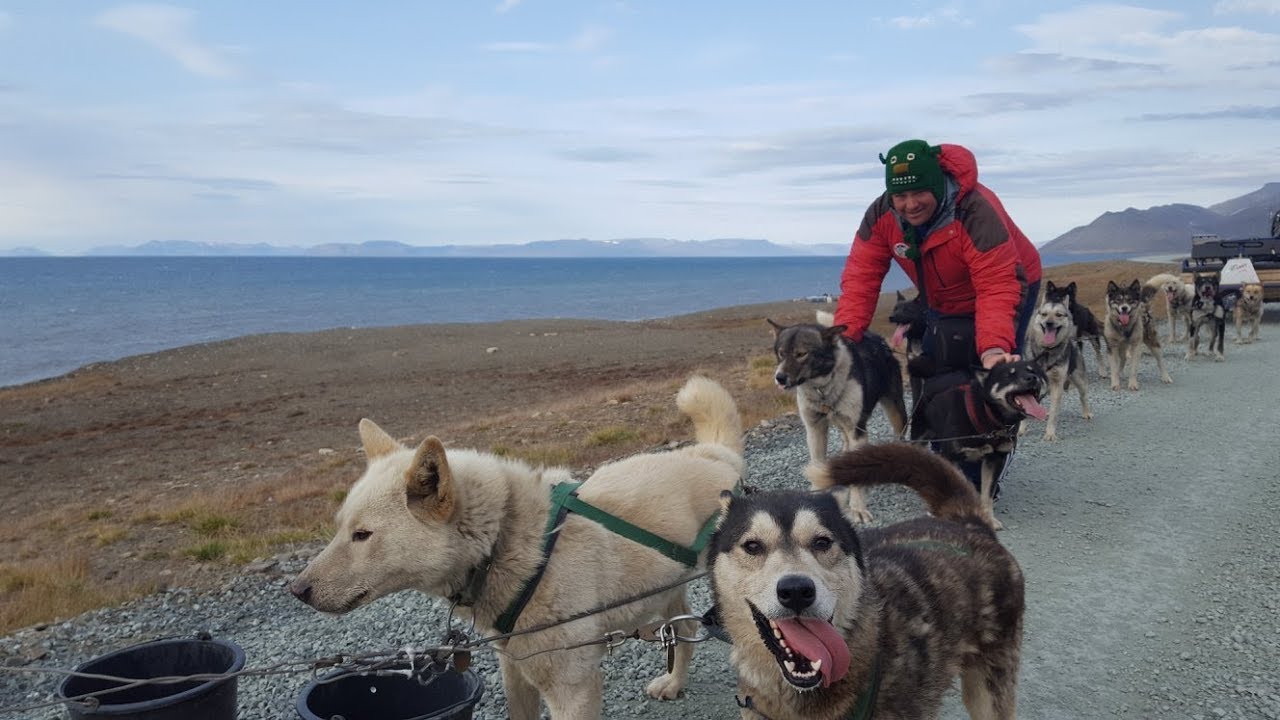 Dog Sledding in Longyearbyen with Green Dog Svalbard