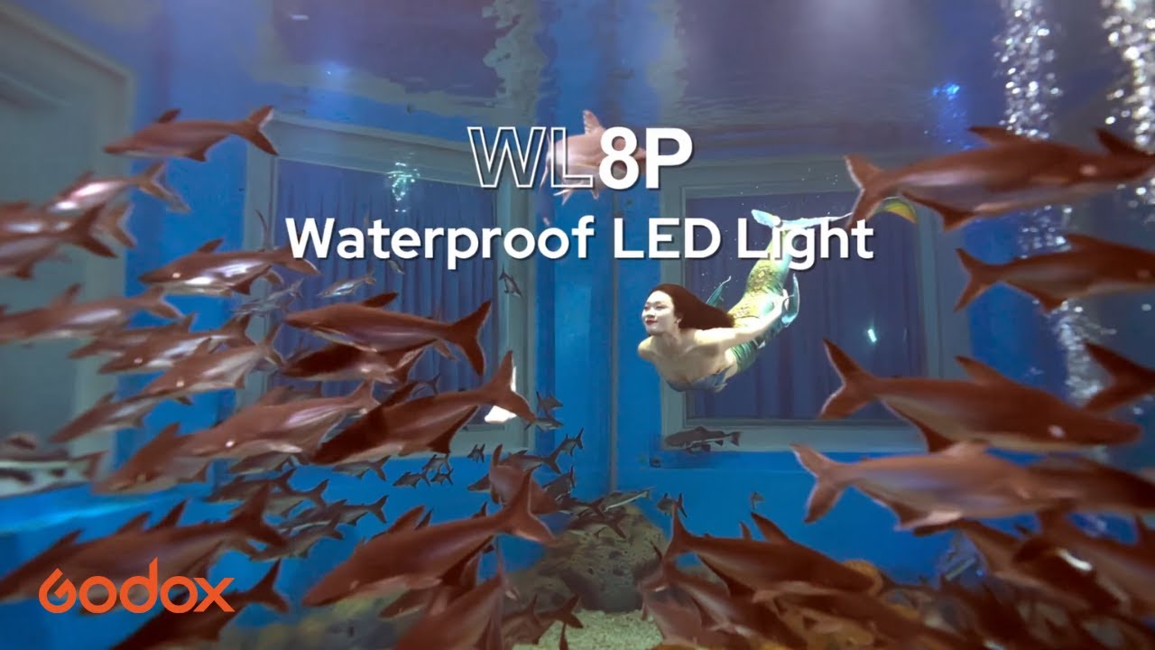 Godox #WL8P - Shooting Underwater!