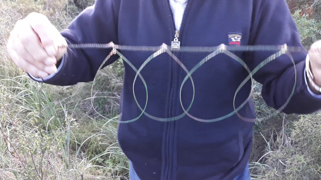 Poner lazo para la perdiz