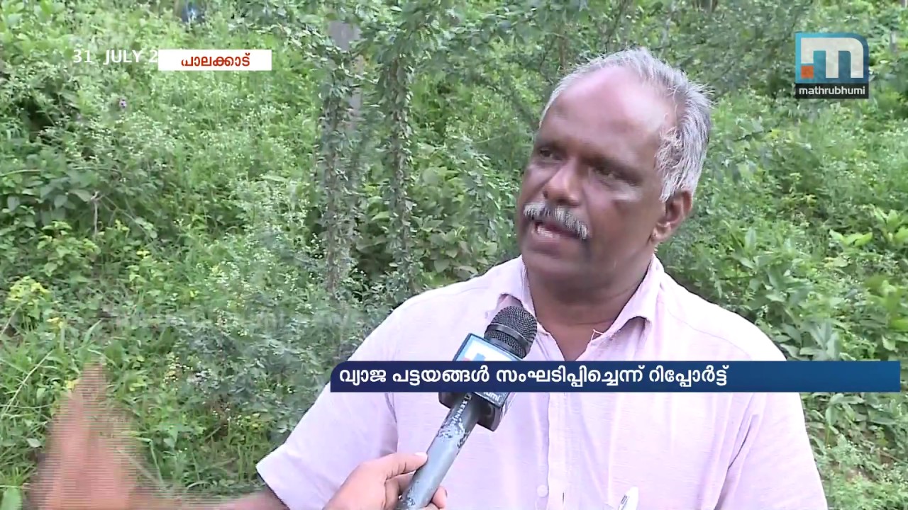 Large Scale Forest Encroachment in Attapadi| Mathrubhumi News