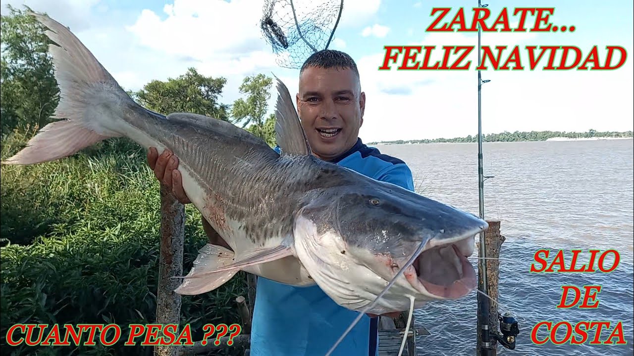 TODAVIA TIEMBLO...LAS BESTIAS OCULTAS DEL RIO TALAVERA..ZARATE !!!