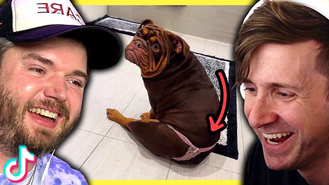 These funny TikToks will have you laughing nonstop!