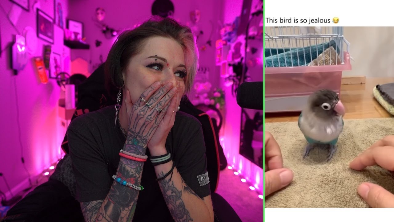 Reacting To My INSTAGRAM DM's... FROM NEAL! Pt 3 - NotEasyBeinWheezy