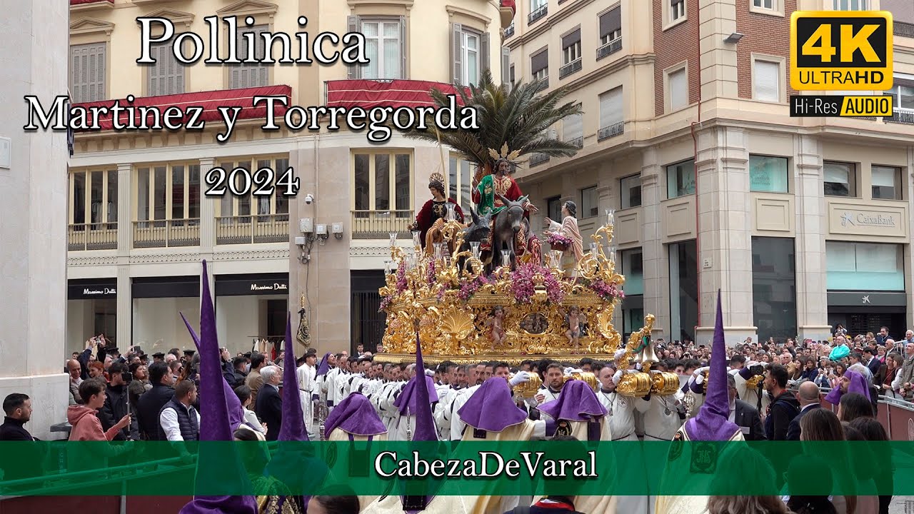POLLINICA MÁLAGA 2024 C/MARTINEZ Y TORREGORDA