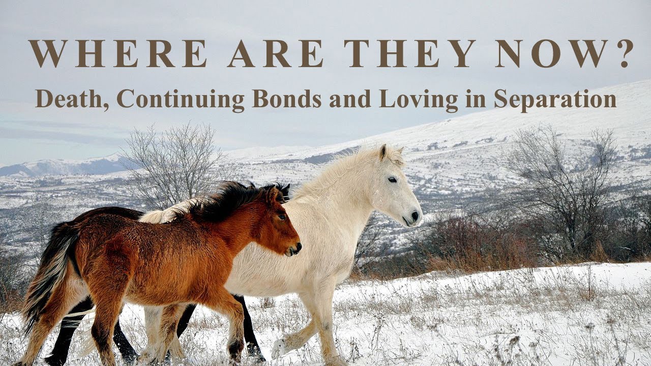 WHERE ARE THEY NOW? Death, Continuing Bonds and Loving in Separation