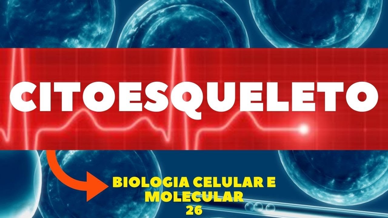 CITOESQUELETO (CITOLOGIA) - ORGANELAS - BIOLOGIA CELULAR E MOLECULAR