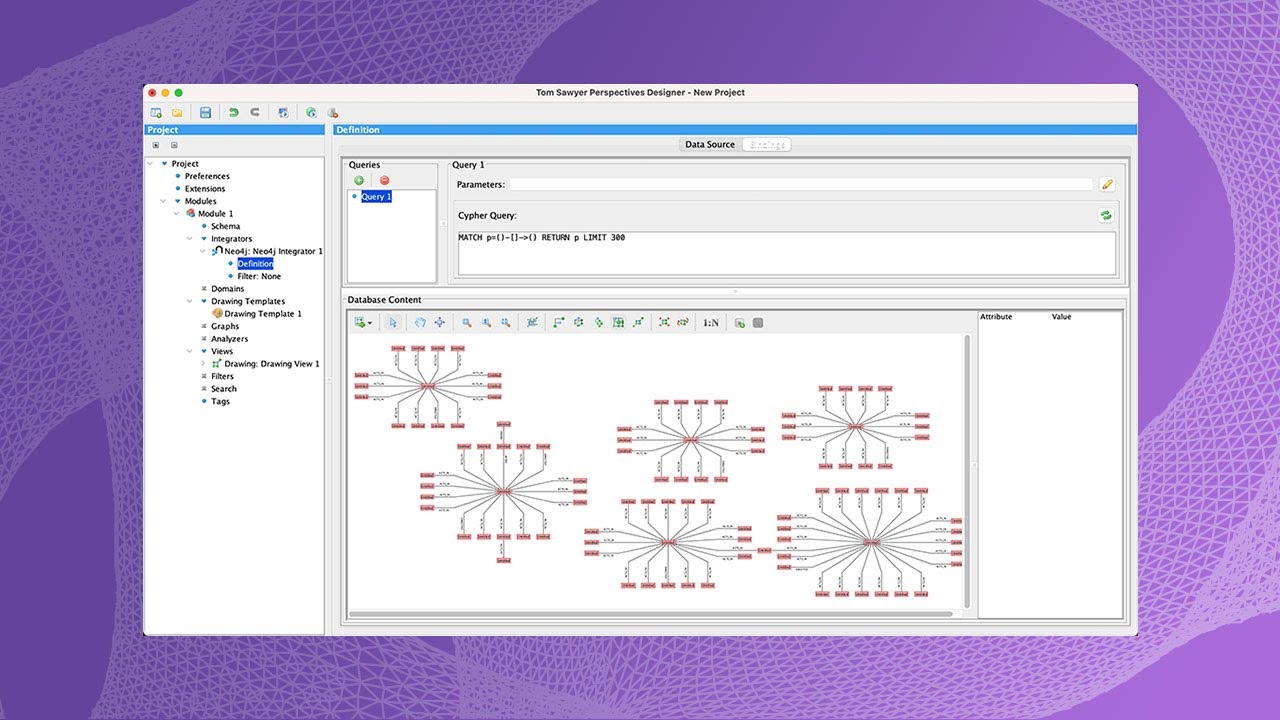 How to Integrate with Neo4j Graph Databases in Tom Sawyer Perspectives