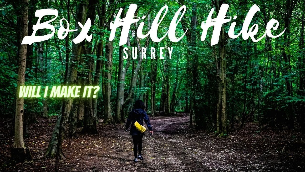 Box Hill Hike, Surrey