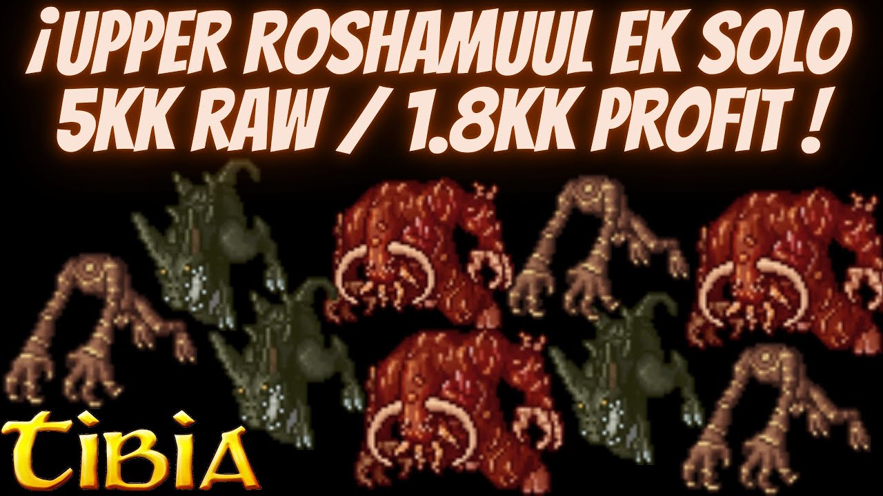 Upper Roshamuul EK lvl 700 solo raw exp 5kk  / 1.8kk profit - TIBIA