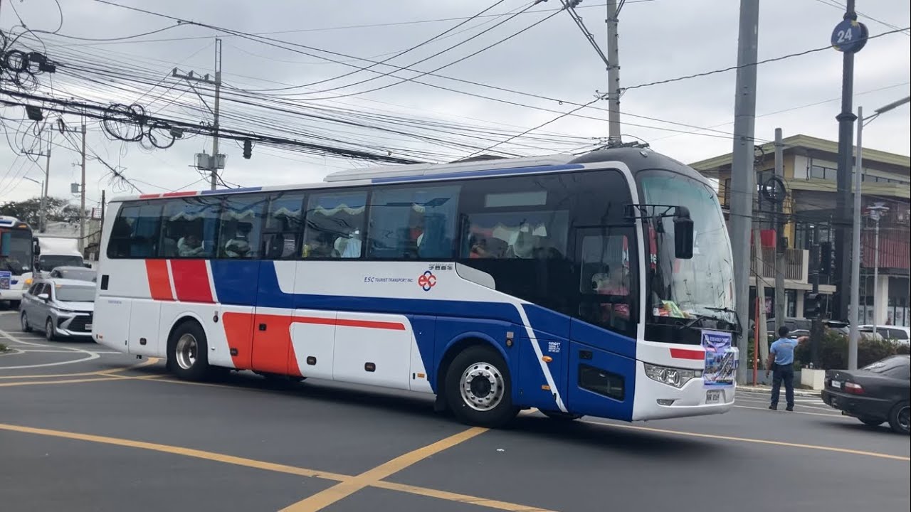 Gloomy Tourist Bus Spotting l January 31 2026