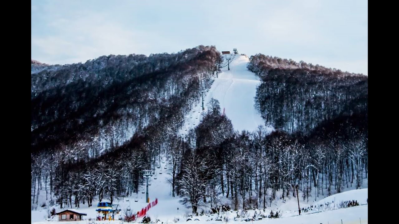 SKY IN THE WOOD 2019
