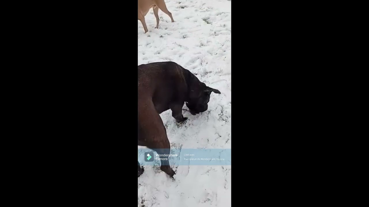 Neige au Domaine d'Upsilla 2026