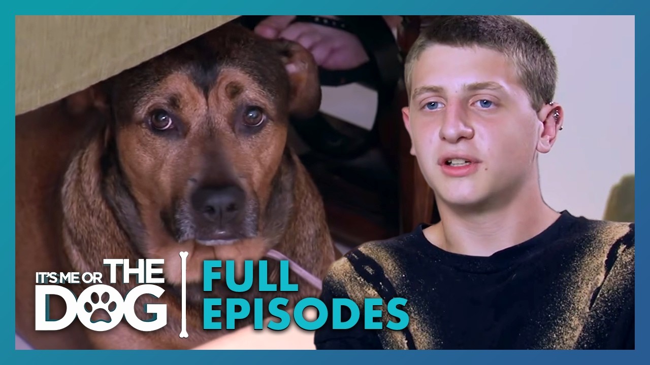 A Traumatized Teen and the Dog He’s Afraid to Walk | Season 4 Episode 7 | It's Me Or The Dog US