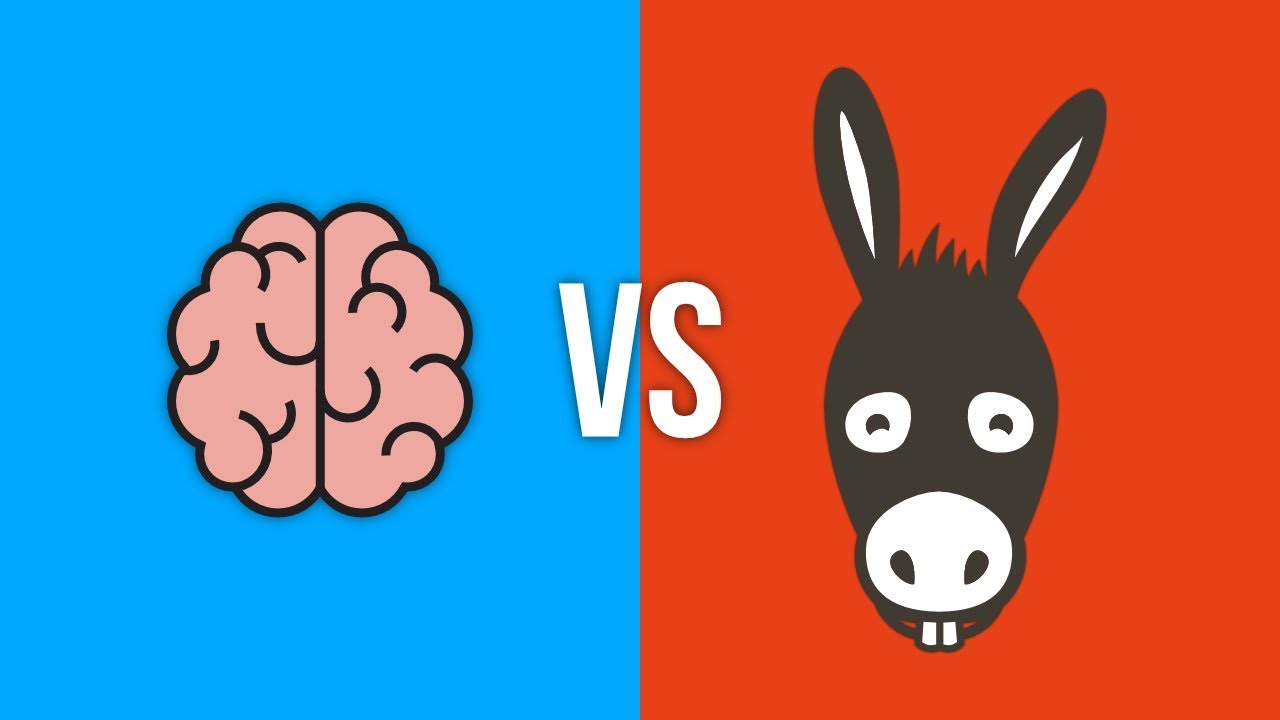 3 Coisas que fazem Diferença entre Aprender a Programar ou ficar “Burro”
