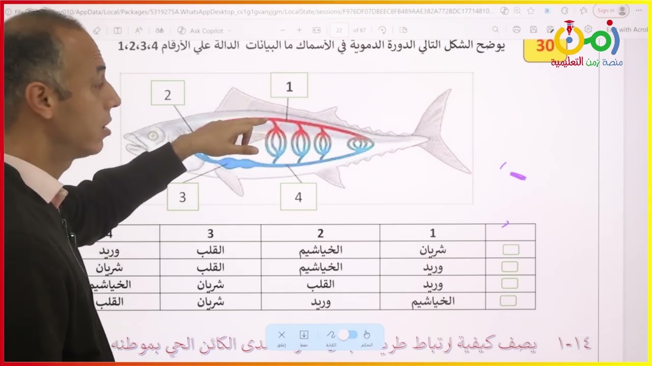 الصف الثاني عشر علوم بيئية مراجعة الوحدة الثانية التمثيل الضوئي والكيميائي- منصة زمن التعليمية