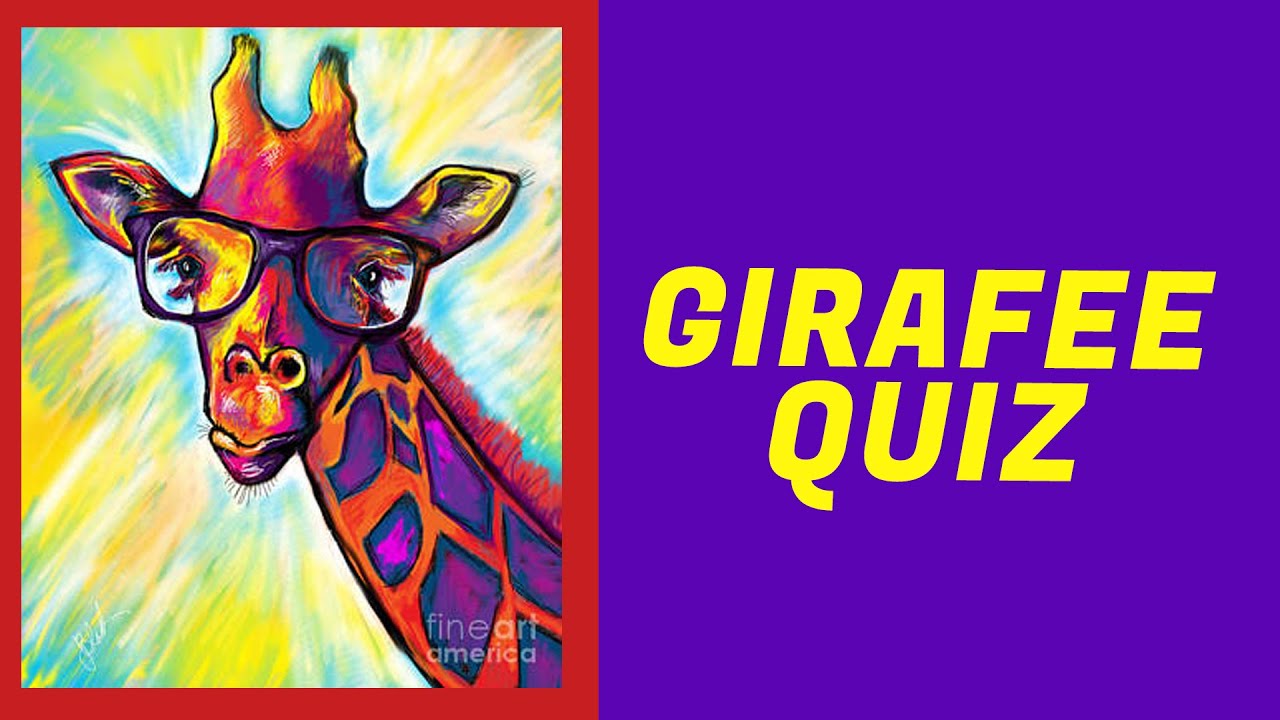 Giraffe Quiz