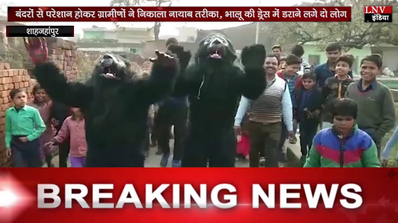 बंदरों से परेशान होकर ग्रामीणों ने निकाला नायाब तरीका, भालू की ड्रेस में डराने लगे दो लोग