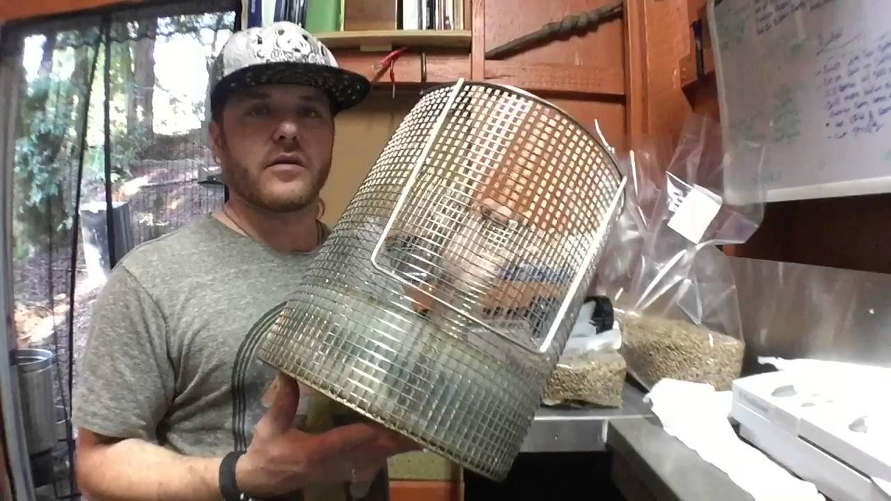 Making Perfect Mushroom Grain Spawn Part 2. Mycology at its finest!