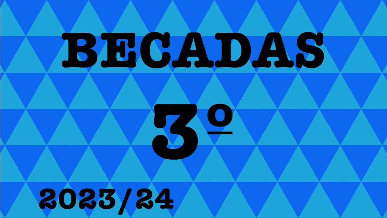 (3º)-Temp.2023-24-(CAMPEONATO DE BECADAS ARAGÓN)-Setters-(Galinholas-Woodcock/Bécasse/Beccaccia)