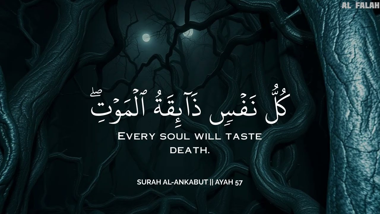 راحة وطمأنينة بالقرآن 💙🎧 | تلاوة مؤثرة بصوت محمد هشام| Soul Healing