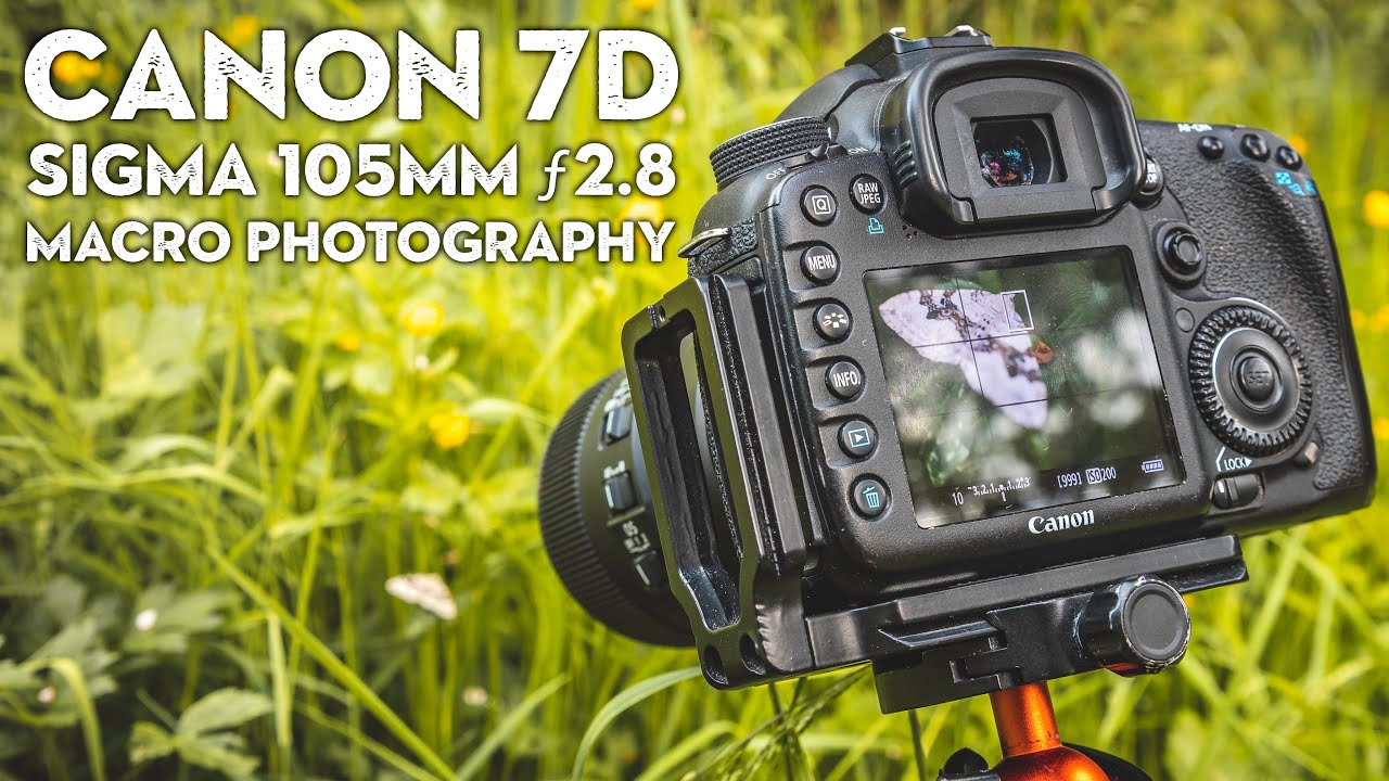 Macro Photography with my Canon 7D & Sigma 105mm Macro Lens