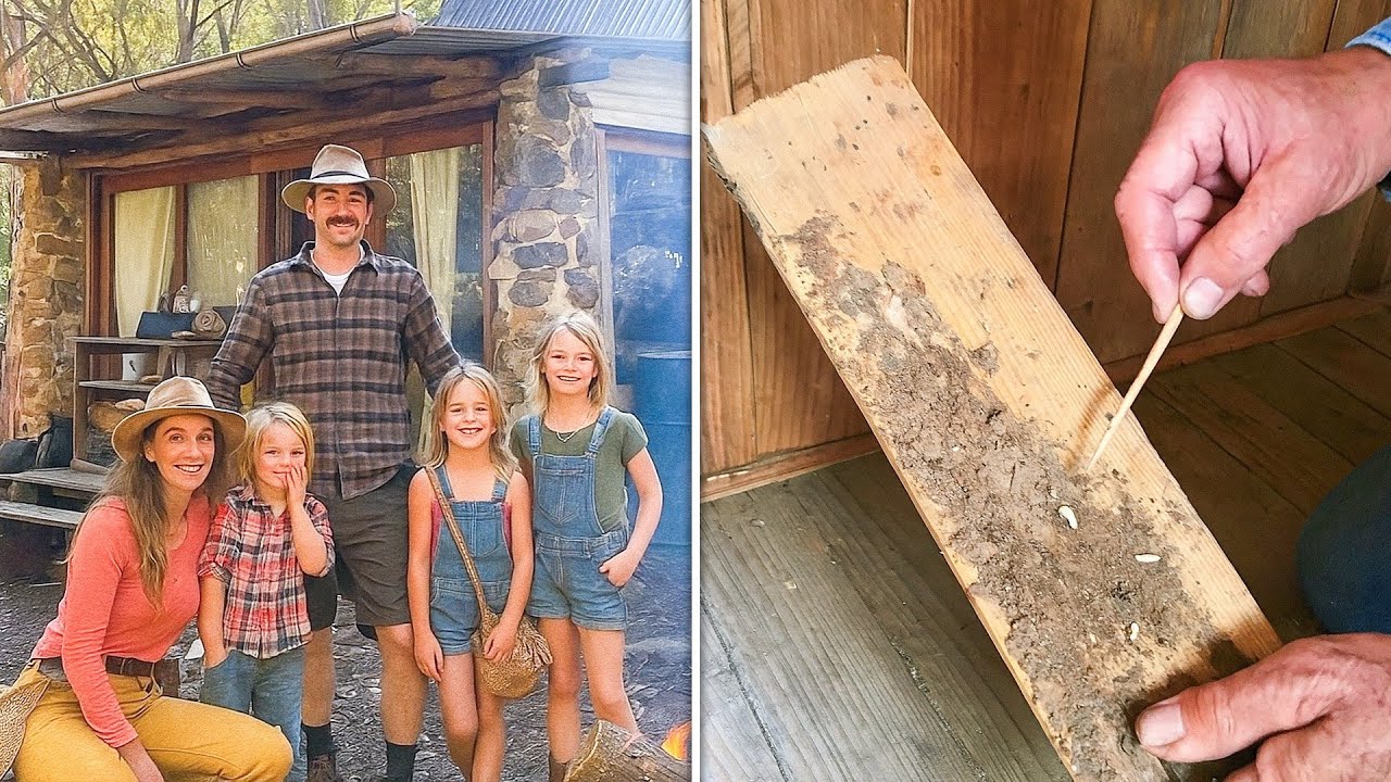 Off-Grid Family Vanished in 1996, Maggots at Old Cabin Reveal the Truth 10 Years Later...