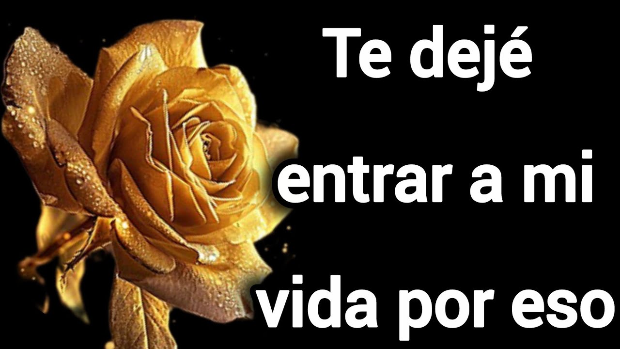 Te dej&eacute; entrar a mi vida por eso