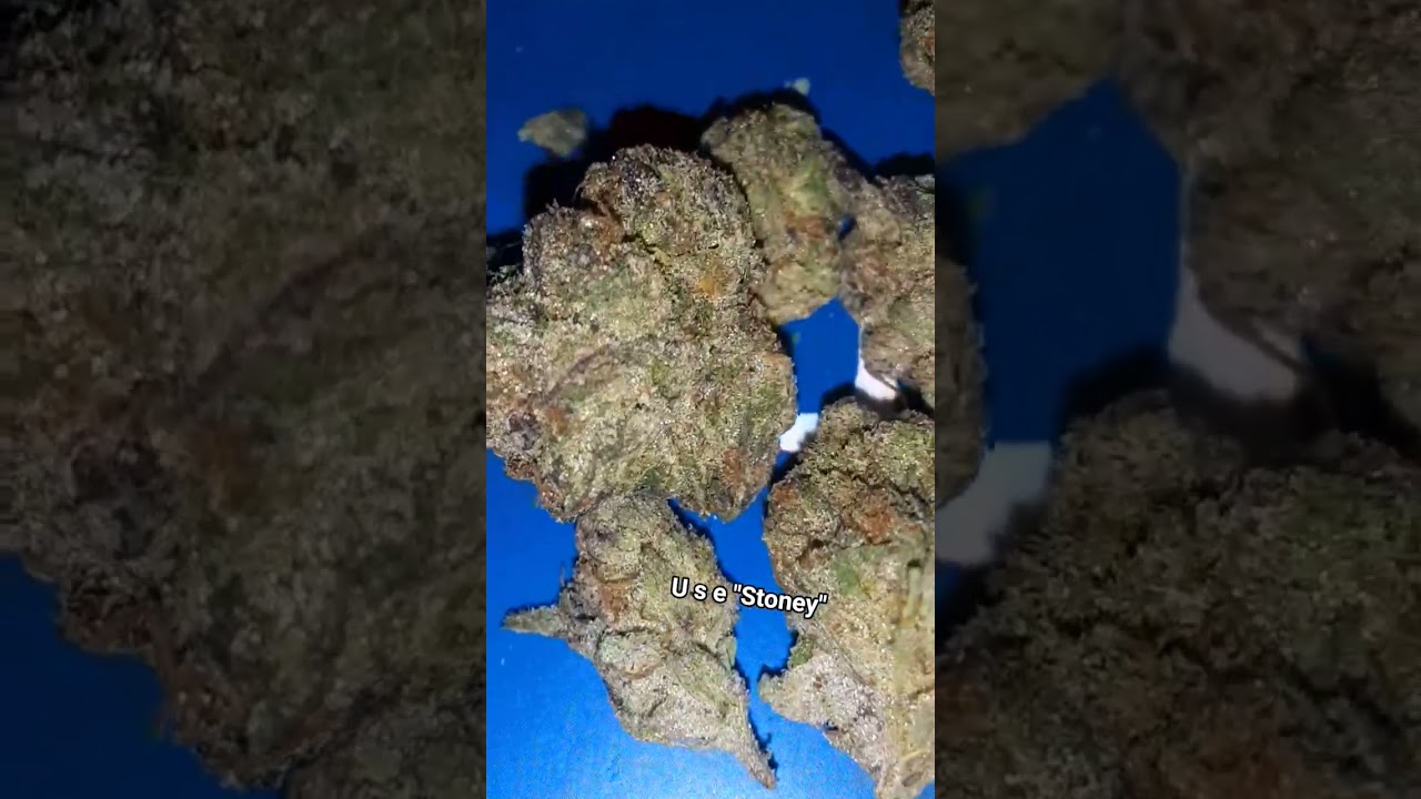 Thca small Buds Horchata