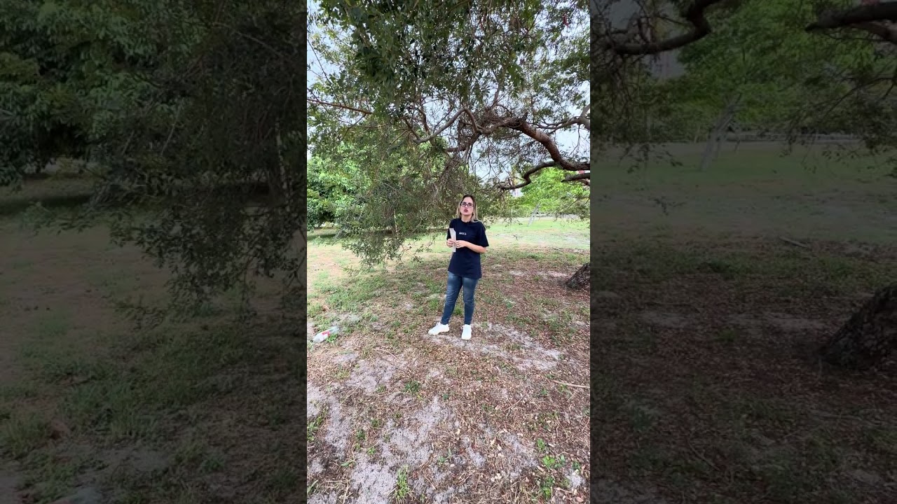 A bolada vai se  grande 