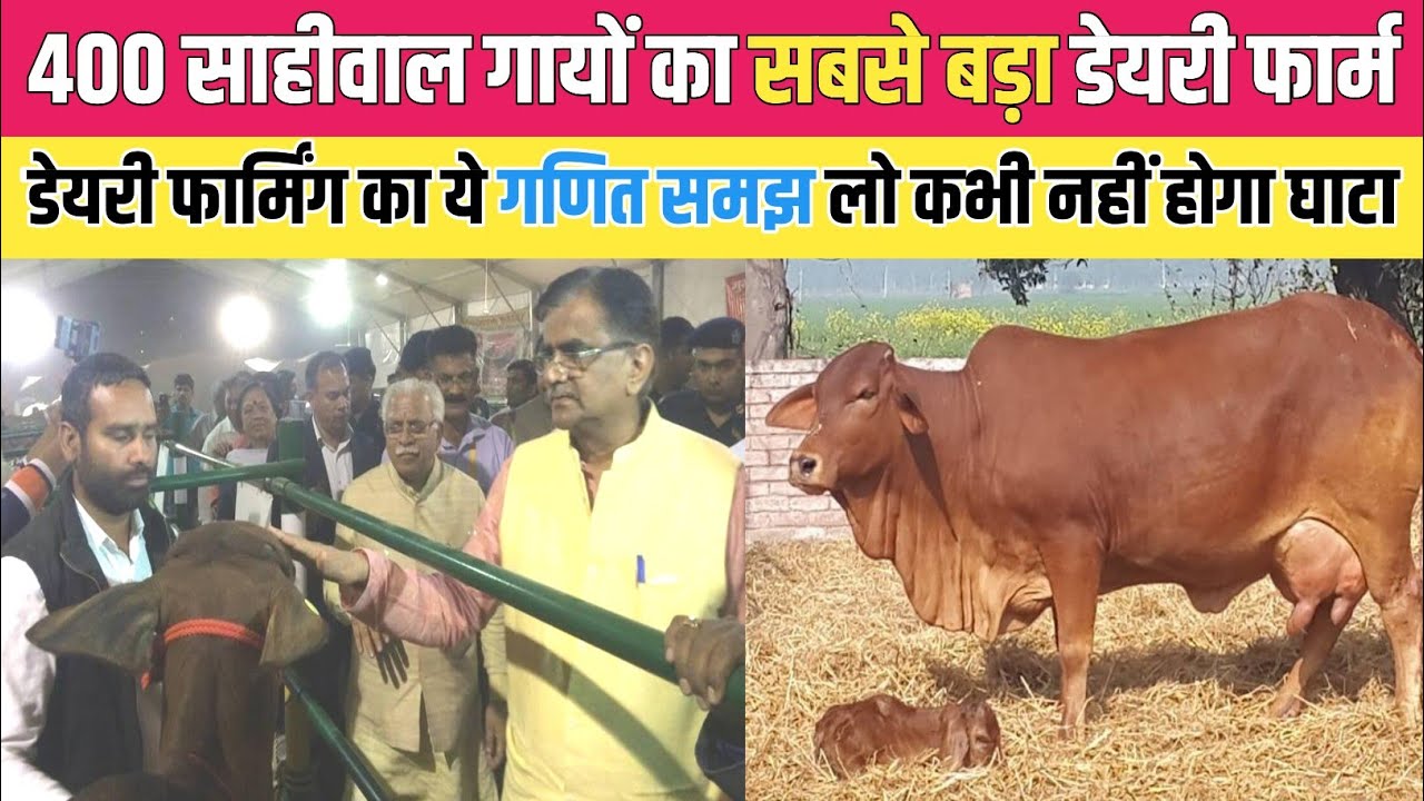 भारत का सबसे बड़ा Sahiwal Cow Dairy Farm| डेयरी फार्मिंग का ये गणित समझ लो होगा बम्पर मुनाफा| Karnal