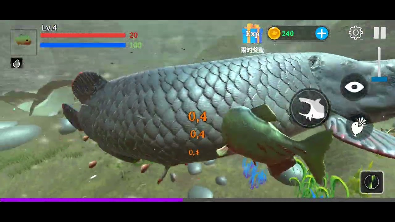 Le piranha au niveau 1 attack le boss arapaément 