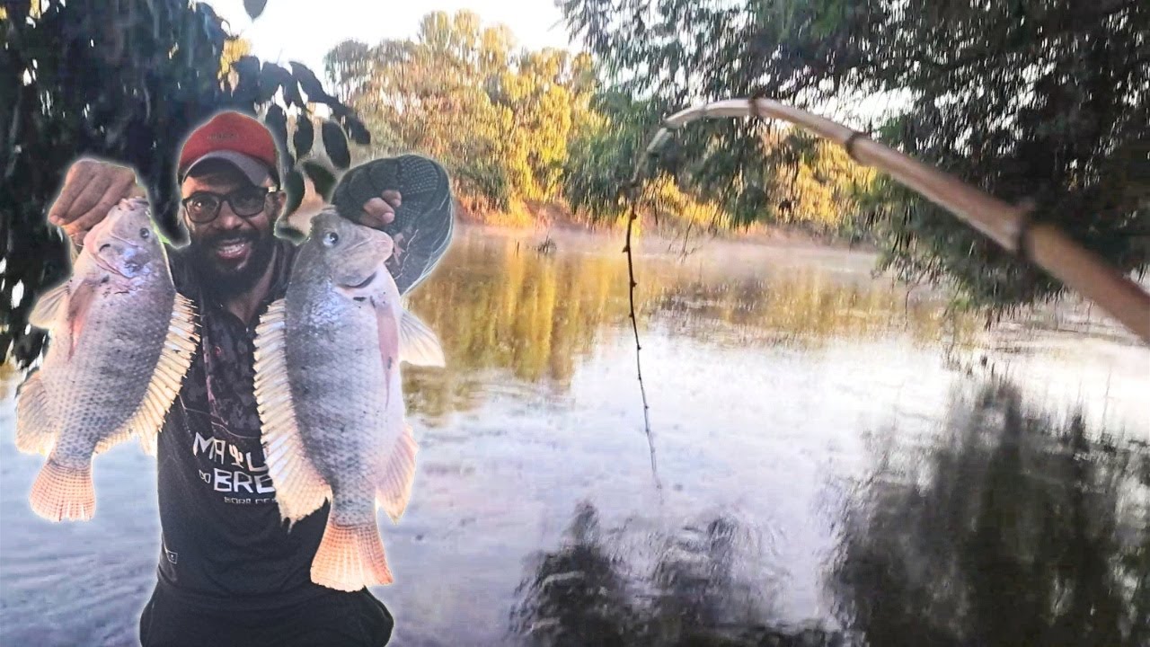 🔥 Faça assim e você vai pescar as tilapias gigantes selvagem em qualquer rio e representa! Pescaria