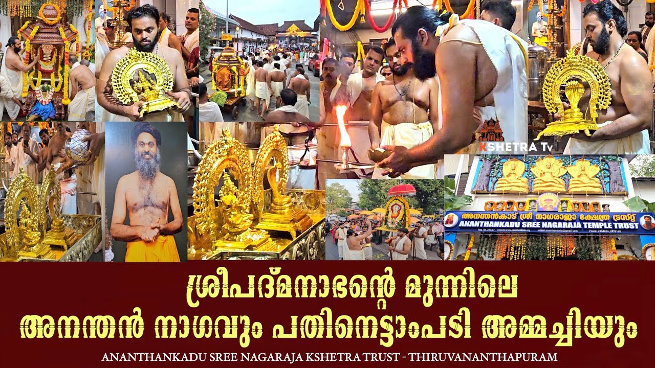 അനന്തനാഗവും പതിനെട്ടാംപടി അമ്മച്ചിയായി ലക്ഷ്മി ദേവിയും വാഴുന്ന Ananthankadu Sree Nagaraja Kshethram