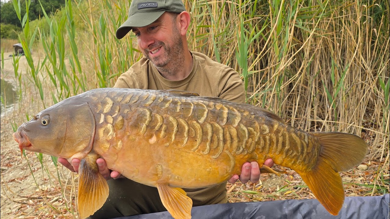 Club Water Carping - Late Summer Session