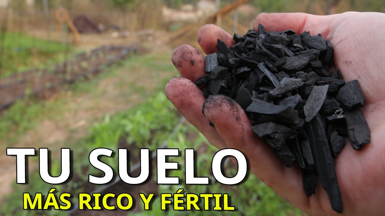 Como hacer que tu TIERRA sea la más RICA y FÉRTIL para tus CULTIVOS… Gracias al BIOCHAR