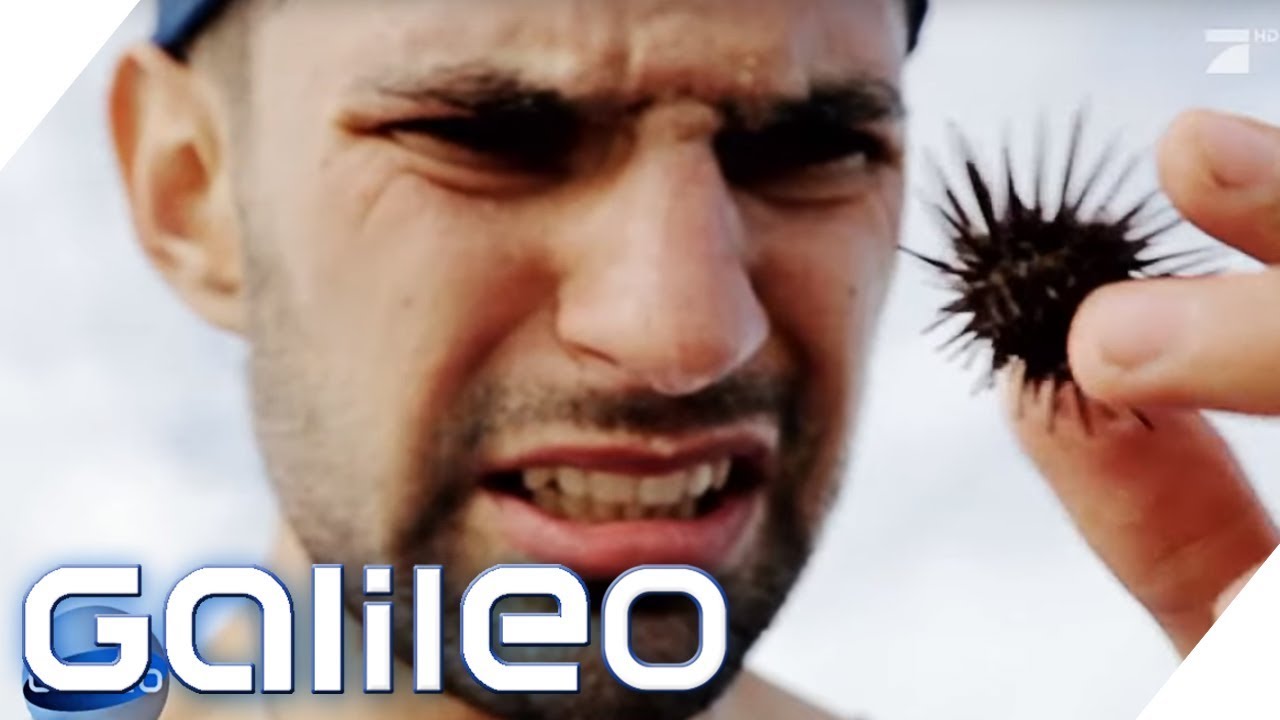 Auf einen Seeigel getreten - Was tun? Can you survive Urlaub? | Galileo | ProSieben