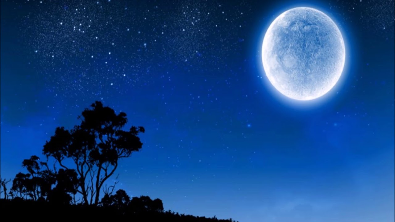 遠い夜明け　中西圭三