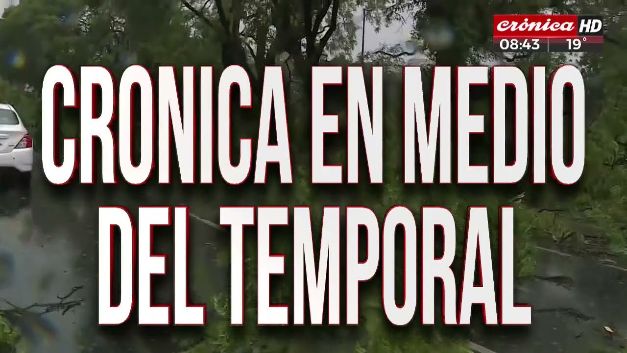 Impresionante temporal en Buenos Aires: la magnitud de los destrozos en Palermo