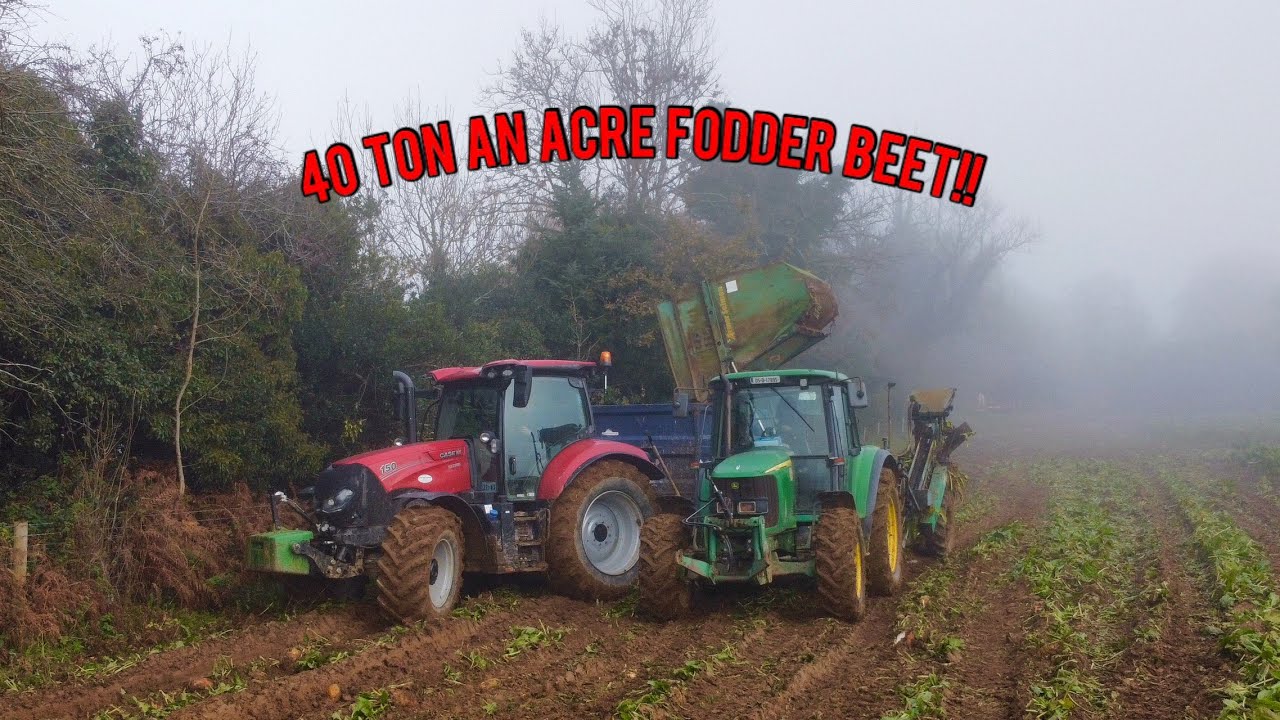 LIFTING FODDER BEET IN NOVEMBER 2023!! John Deere 6320 With A Single Row Armer Salmon!! Ireland!🇮🇪