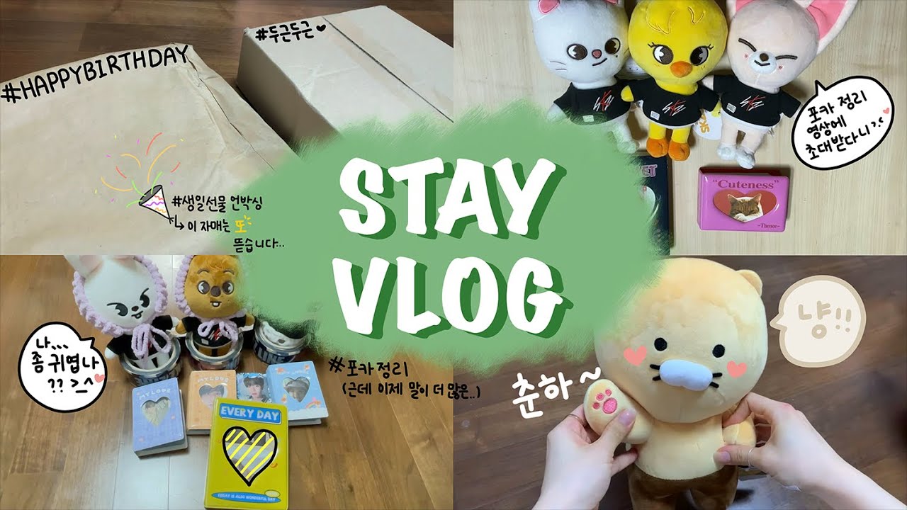 [덕질VLOG] 스테이브이로그 #5 / 포카가 없어도 포카 정리 해요 / 덴스, 오키키 상점 콜렉트북 언박싱 / 아이패드 파우치 언박싱 / 블러셔 언박싱 / 춘식이 언박싱