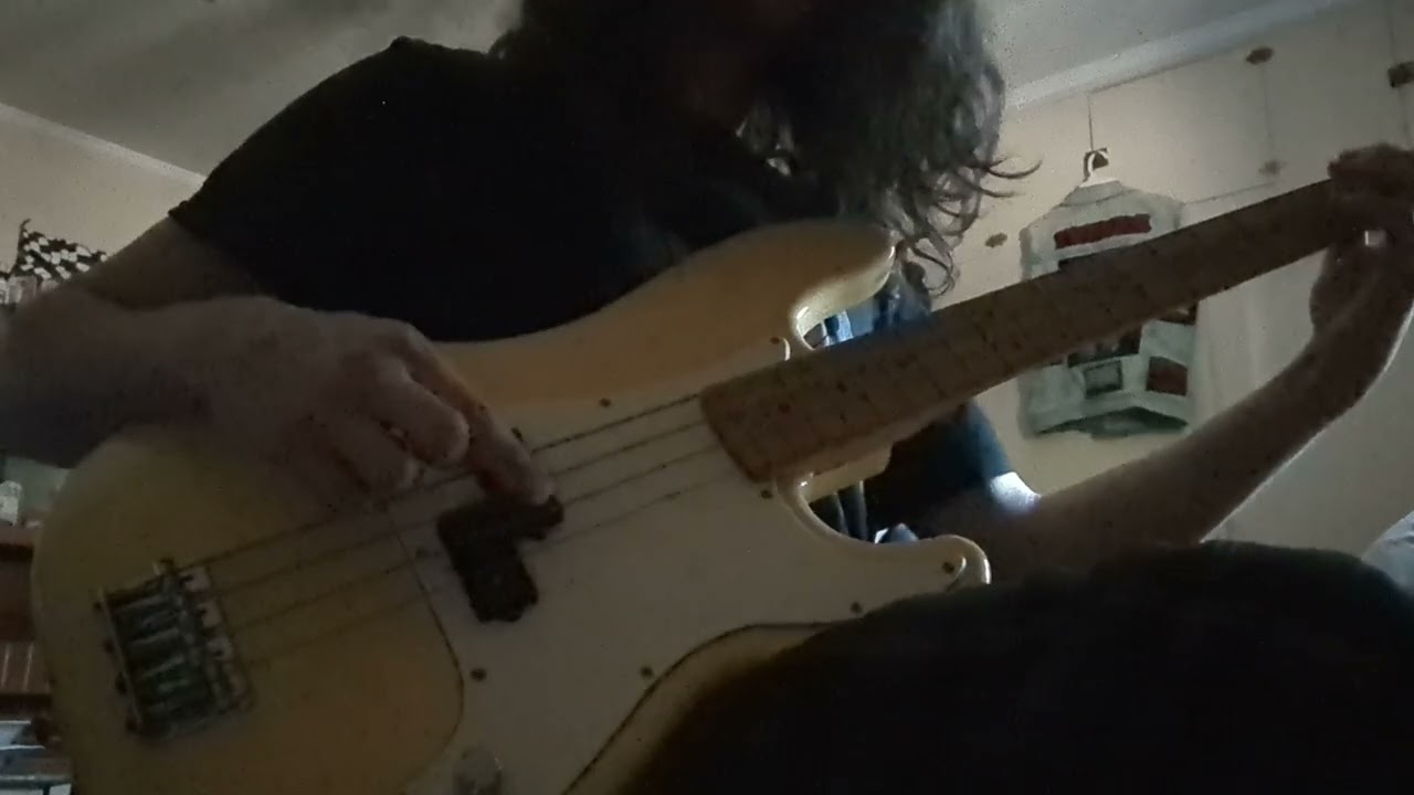 Coconuts - Silver Lights (Metal Muff only)