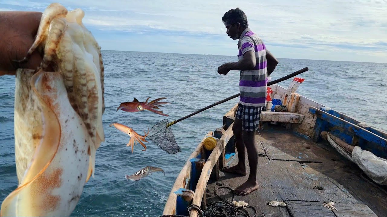 ஆழ்கடலில் முதல் வளிச்சலில் கனவா மீன்கள் பிடித்தல்|Part-01|How to catch squid,octopus,cuttlefish