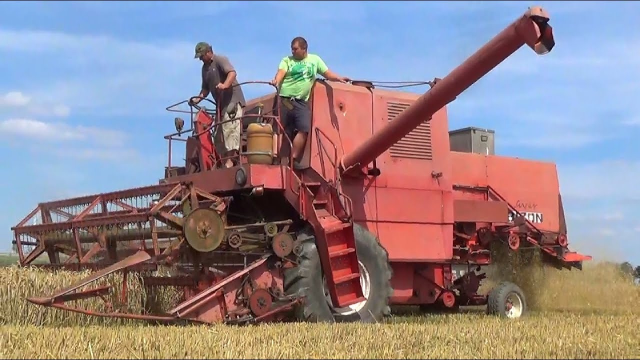 Bizon Super Z056 Pszenica 10 ton z hektara PREMIERA