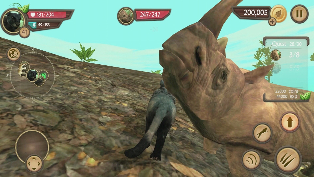 Wild Panther Sim 3D Android Gameplay #18