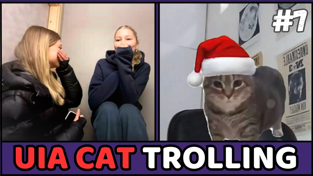 Cute Cat Trolling In Omegle ( U I A CAT ) ! 🔥😂 | (Ome.tv)