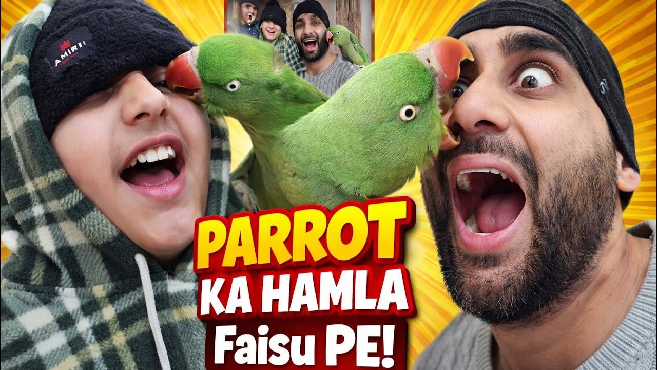 Parrot Ka Hamla Faisu Pe 😱 | Angry Parrot Attack Gone Wrong