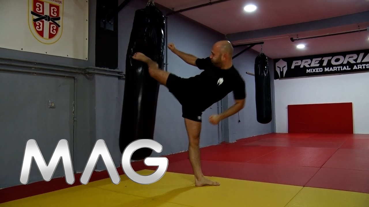 Zlato za MMA klub 