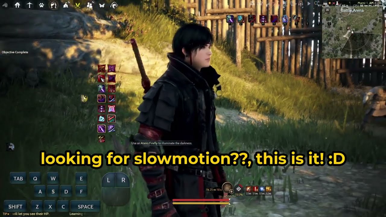 Bdo Ninja Succession Pve Combo and Movement with Slowmotion